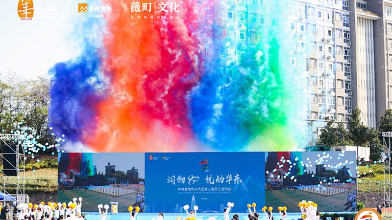品牌策划设计定制的核心要素与趋势洞察